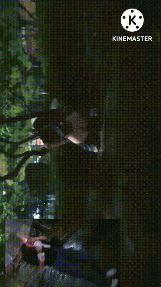 b0a60337d58fa716ba73ca3433701c12_1737896455_0691.gif