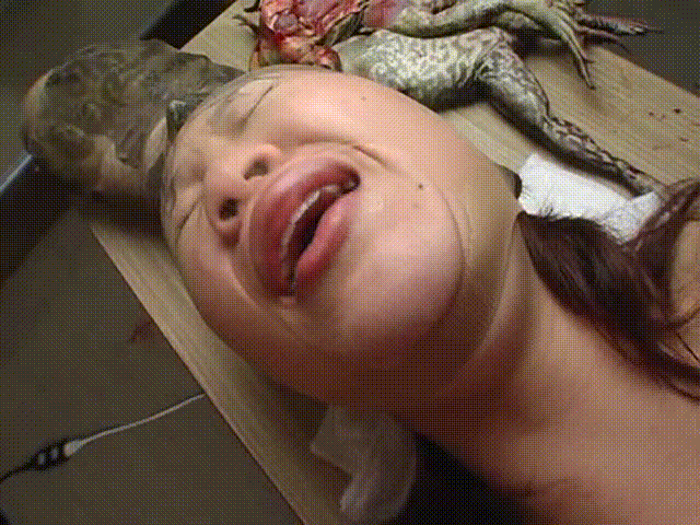 cb00532ad970d55008e744c018fd4aaf_1737027062_4707.gif