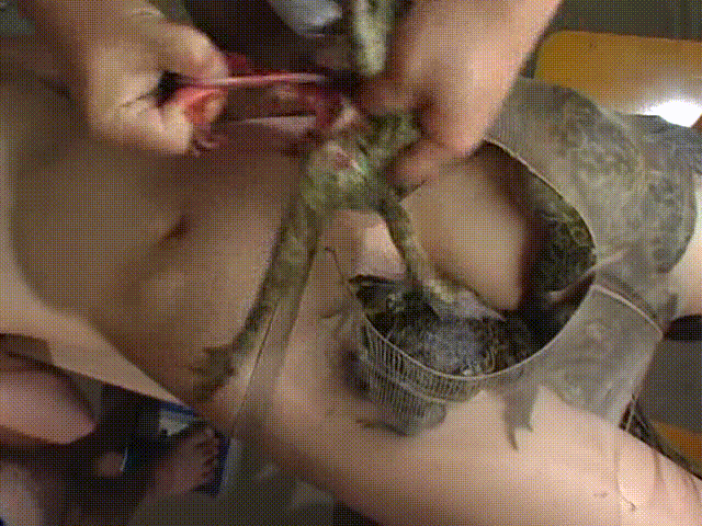 cb00532ad970d55008e744c018fd4aaf_1737027082_4237.gif
