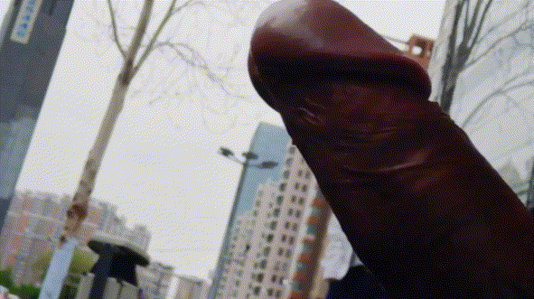 dc0fd04557df34a463d2a8061bda23ef_1736257590_3439.gif