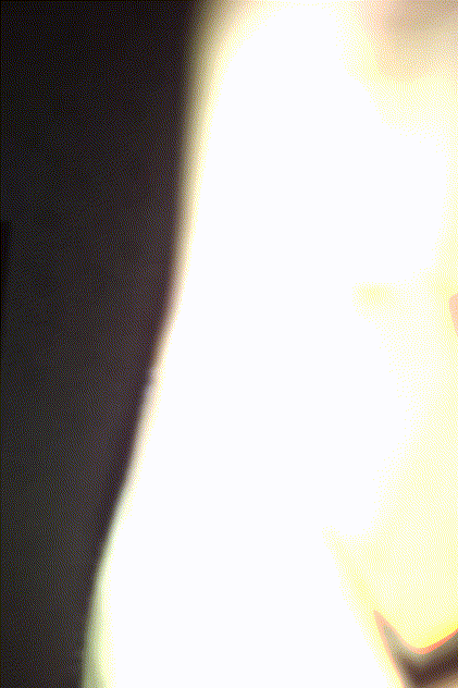 f64285a226a0ab0f1a2020d59fe1c6c6_1736326762_8818.gif