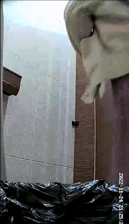 f67c44a81eba543ec5ce6e3c51bcdfd1_1735713624_1368.gif