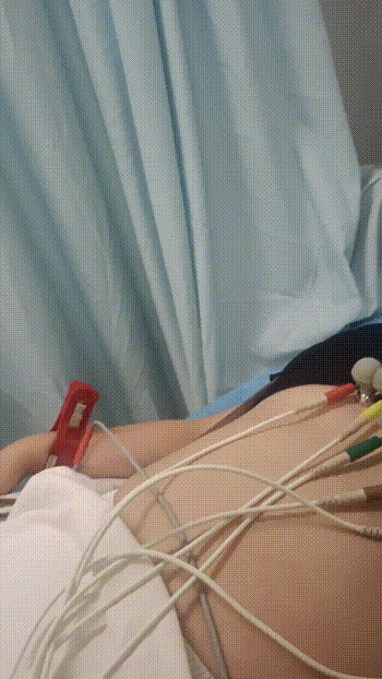 f786d66f8caf2461db4a3788542ca0cc_1737632803_6847.gif