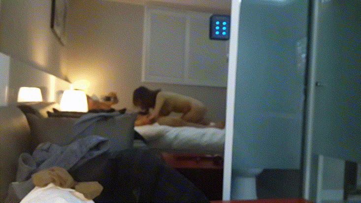 fd156cf3db11445946b21fbdab840048_1737884164_9305.gif