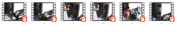 0fffdc52e3b9a3484f8ac235c5723951_1737621873_3399.png