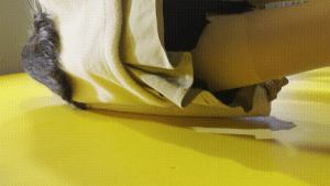 4a873e76e24cef3724b8c49058ec6135_1737557622_8619.gif