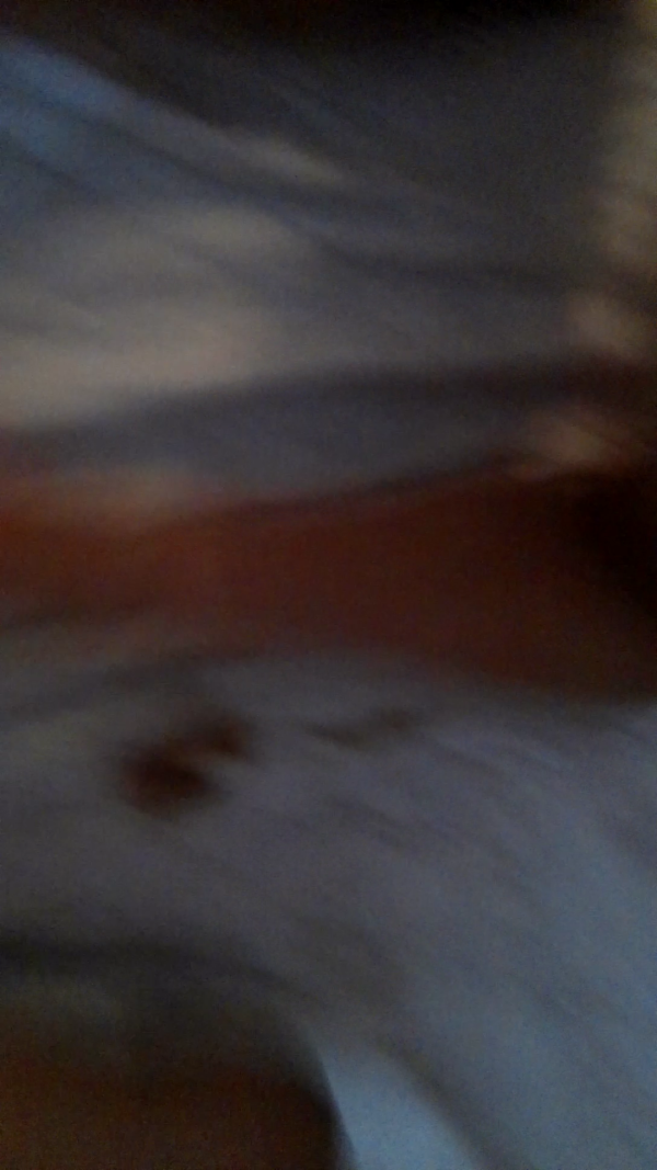 82b19112c4d3d6903363525a3e831570_1736602612_9054.png