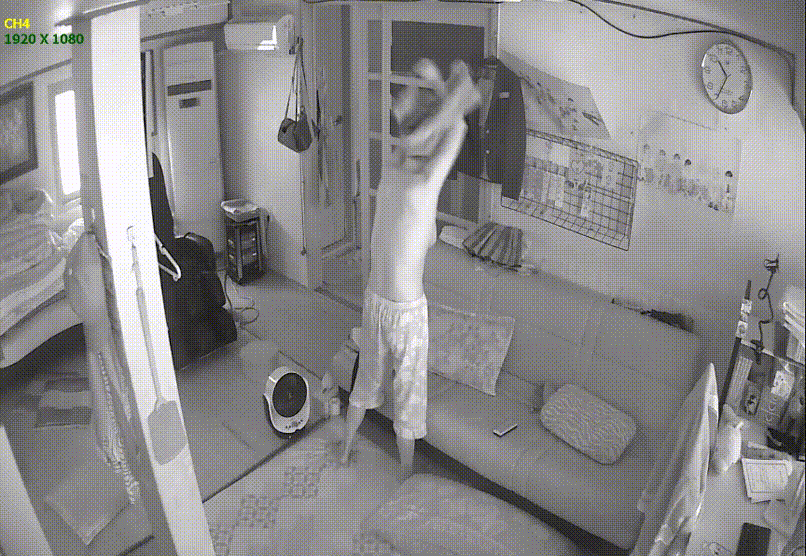 01d472d972616a18d0af7ab24bc0285e_1739692771_0773.gif