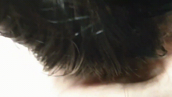 232fc4631c123564b92a422da104361b_1738479625_9714.gif