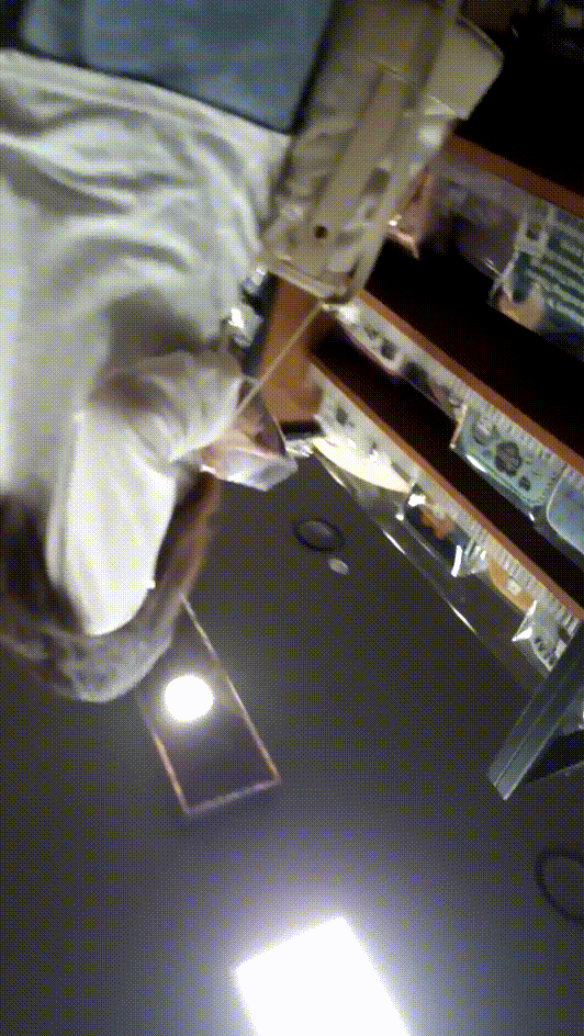 2b62ea68726f41746eb2fc3d49fef996_1739616708_313.gif
