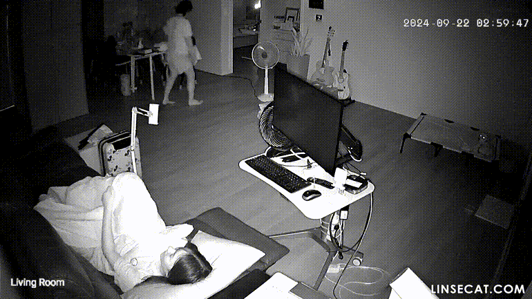 2dfa6ef9fd7d148e8a95fb0ddf6587c5_1740744916_7981.gif