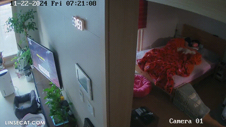 2dfa6ef9fd7d148e8a95fb0ddf6587c5_1740744918_0532.gif