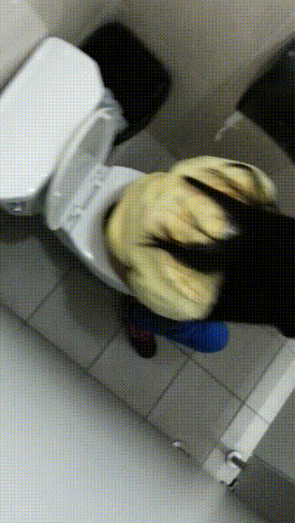 2f575f1919491604a36f7861103a5316_1739005090_0838.gif