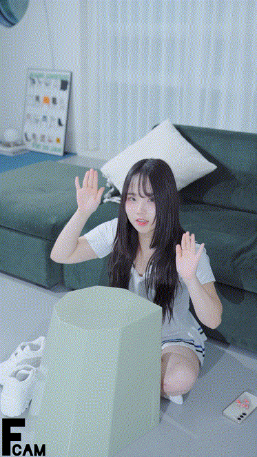 3ed1a204fb3a4349487e1ecdd0444612_1738792118_403.gif