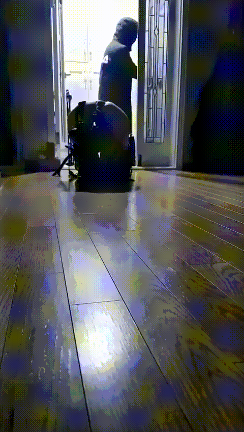 54771c7e756425186751ba50167233c6_1740140799_288.gif