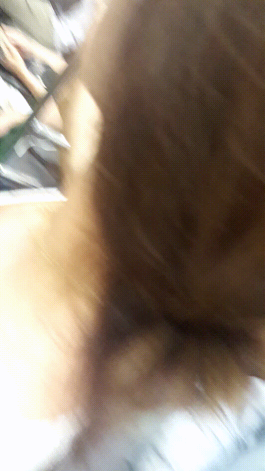 57ba5496f833b8a23e79fe7884efffcb_1739614693_3015.gif