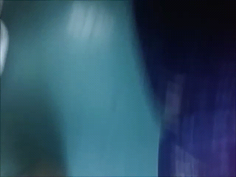 6bb8cf3ebb30000c60f29496749d65a5_1739614955_3081.gif