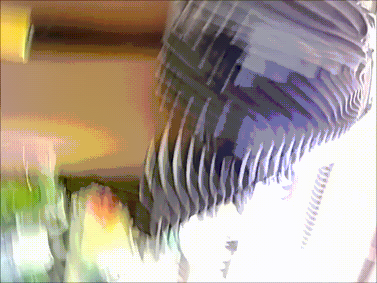 6bb8cf3ebb30000c60f29496749d65a5_1739614959_0614.gif