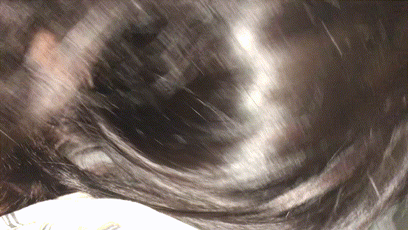 6c3ca20bc6f3c3a038202819ad9ce8f8_1738813354_7839.gif