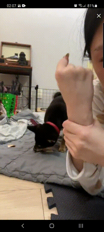 70dd324ee59ec015e2aa01a625120e65_1740303423_4052.gif
