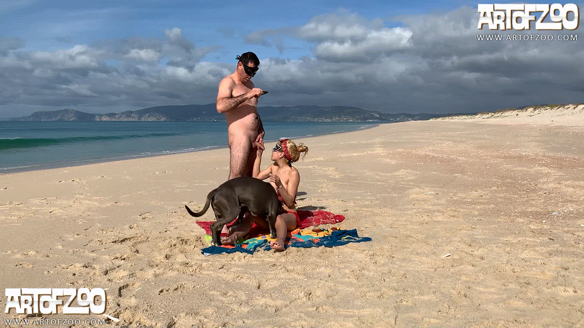 73f7fcc8204cccdb5d0dc7624d7b0381_1740637293_6735.gif