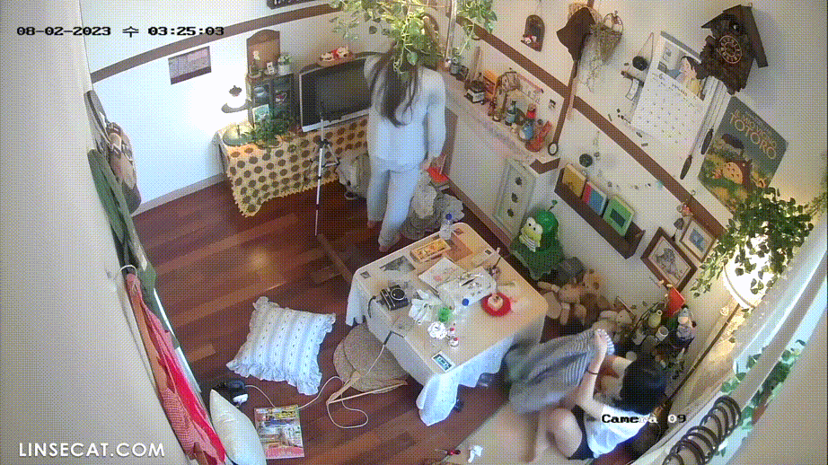 81e61a9a1f4dc7caaa404de3c3d3ef99_1740297470_0166.gif