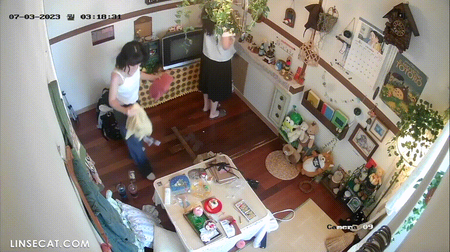 81e61a9a1f4dc7caaa404de3c3d3ef99_1740297470_8218.gif