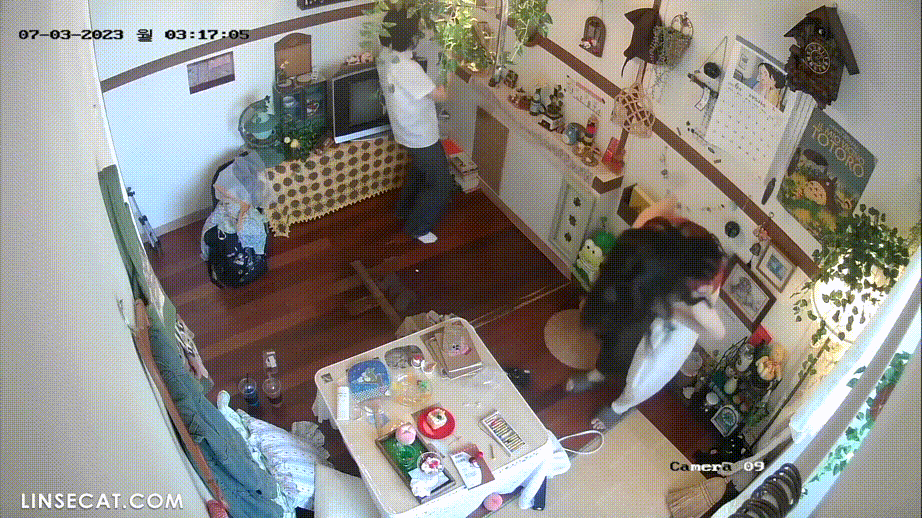 81e61a9a1f4dc7caaa404de3c3d3ef99_1740297477_856.gif