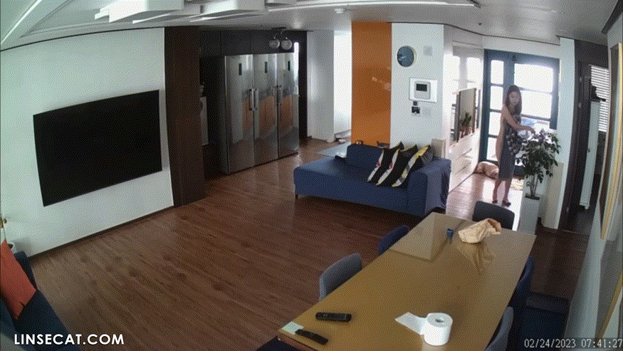 821106acf217d9eb603cd85c94f188ea_1738836540_6259.gif