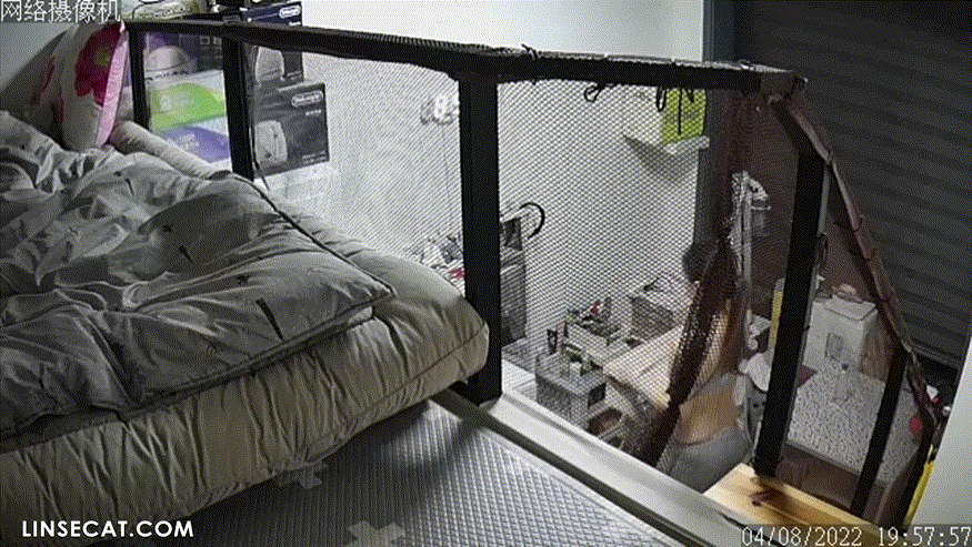 821106acf217d9eb603cd85c94f188ea_1738836548_6107.gif