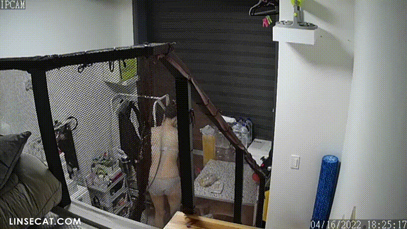 821106acf217d9eb603cd85c94f188ea_1738836549_8355.gif