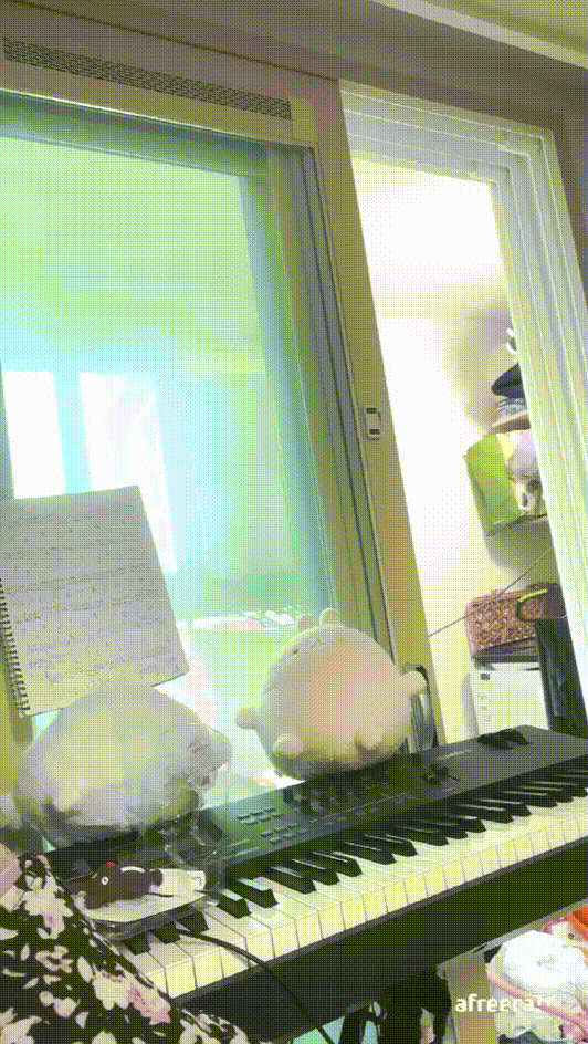 821106acf217d9eb603cd85c94f188ea_1738837133_1042.gif