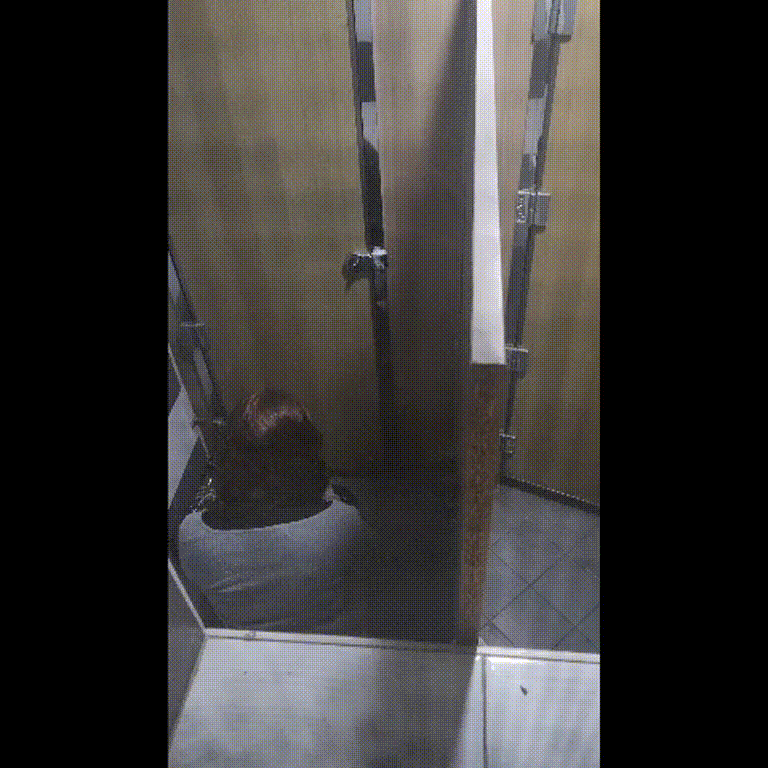 84601f47bd0aaa2ab41d3c5598c69b6e_1739613865_0053.gif