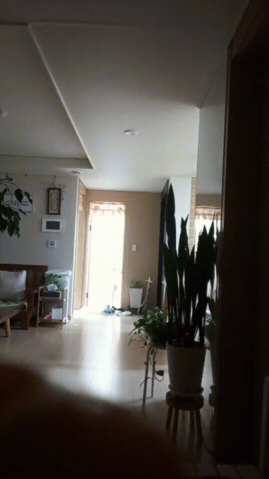 8bc8690df7852d661431cc0794113622_1738605945_2672.gif
