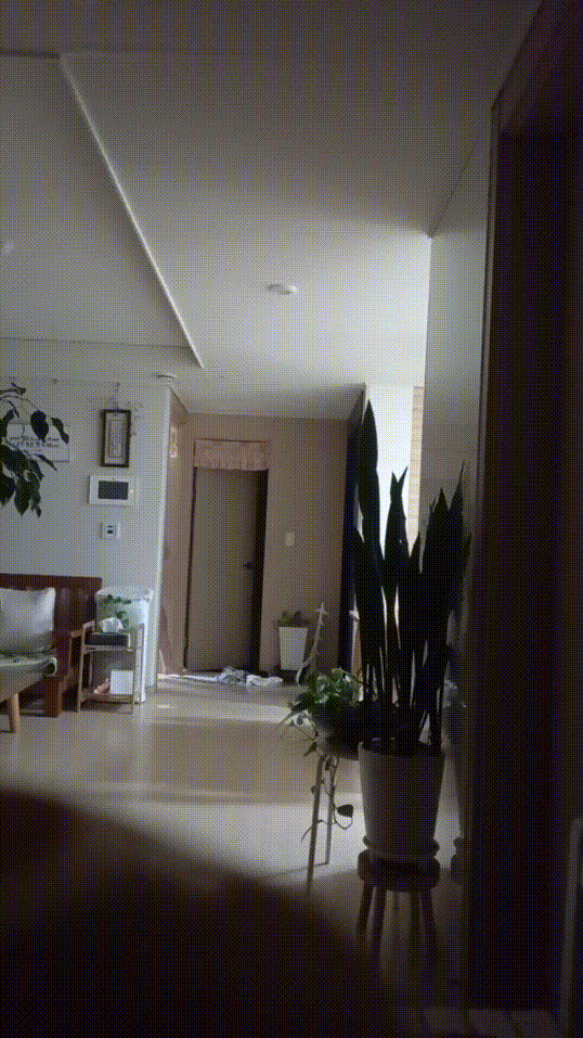 8bc8690df7852d661431cc0794113622_1738605947_1986.gif