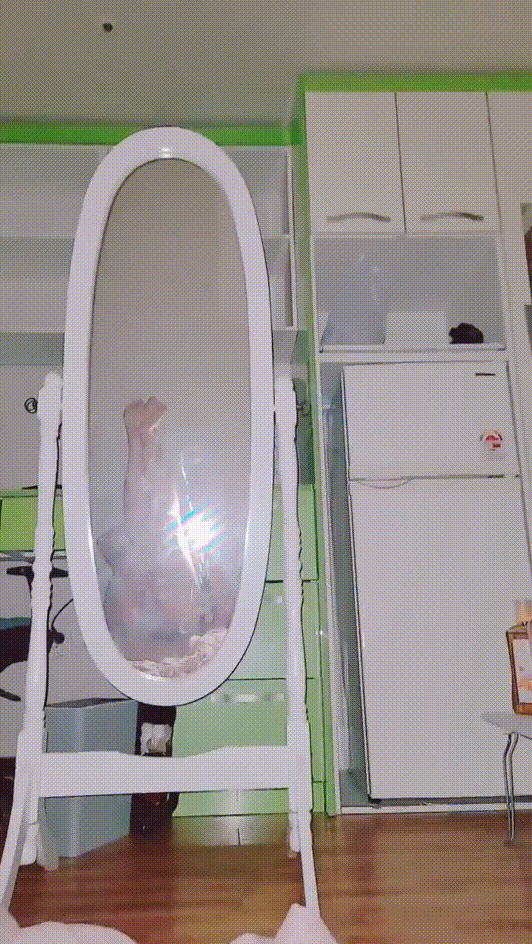 96299c7767a9399337b9049c37a29db8_1739173866_3281.gif