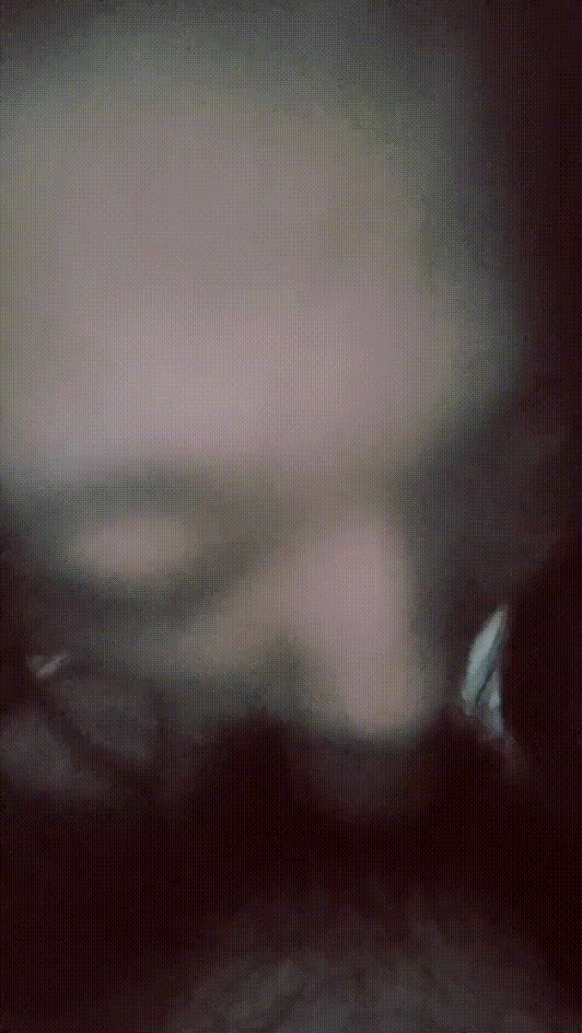 96299c7767a9399337b9049c37a29db8_1739173866_9224.gif