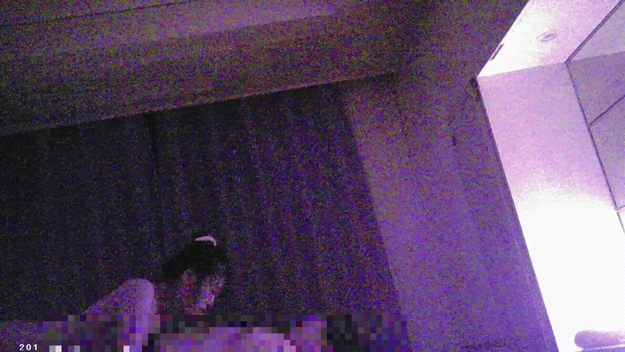 9917af67ecda382e203a6aca9a70ae4b_1740030786_001.gif