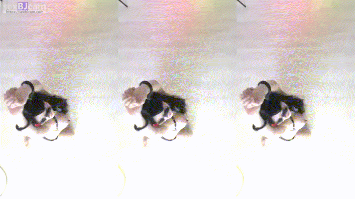 9ab3888ae91d222ce53880c5ffd27786_1738577294_6826.gif