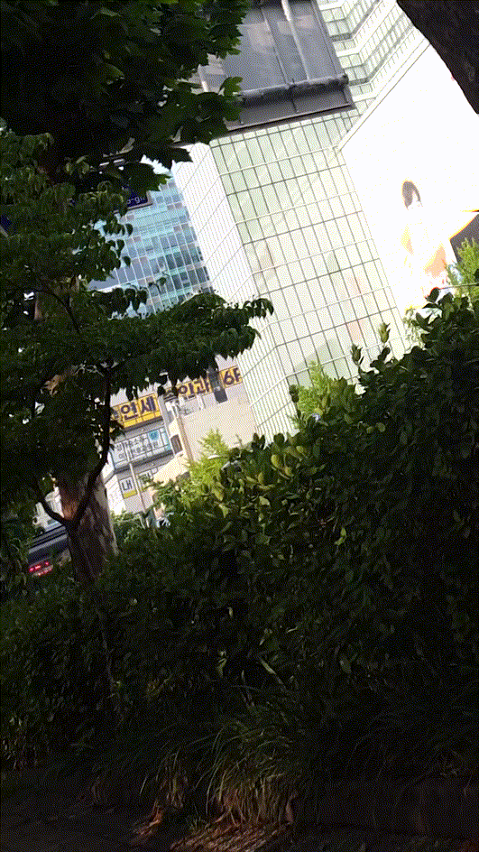 9c9d4a38d7aa2e4fafde6a4caab6a19a_1740386028_6036.gif