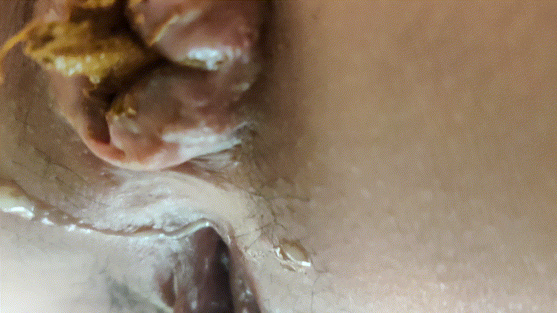 a272c65a884bea95671b93d86a388cdc_1738841064_7094.gif