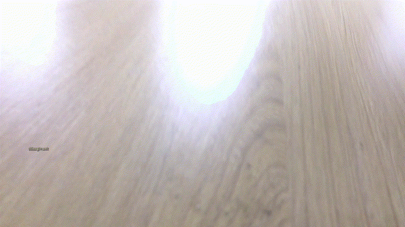 a272c65a884bea95671b93d86a388cdc_1738841068_9987.gif