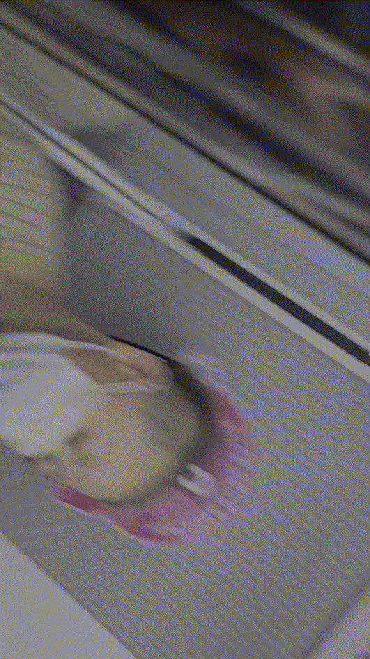 a865070a398777be98faf0ed131518a2_1739317006_2217.gif