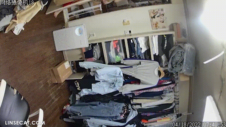 ae51207b6a7db611643740efd4d2e8f2_1740040913_3643.gif