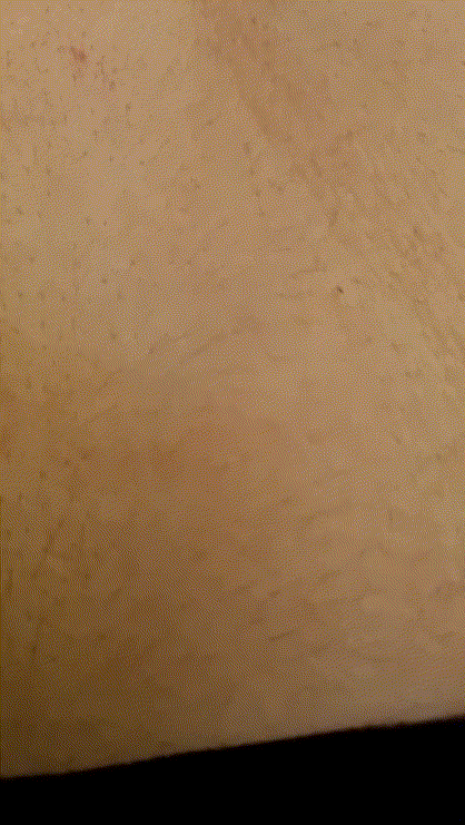 b2c52a9482ab2a5404c8719ebbdb8456_1739615787_7801.gif