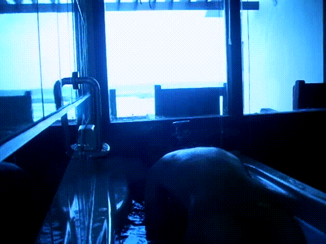 b78cc262cb18f9e44be27fbd4ee72e6d_1738571195_0026.gif
