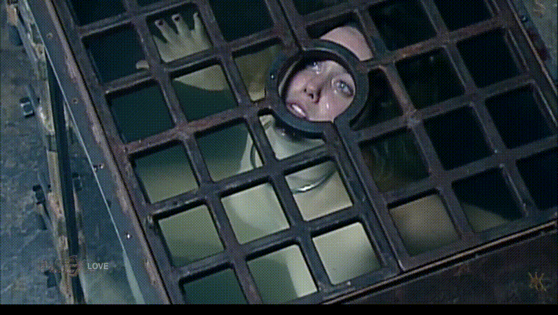 bf2ce42f283544df89885a5a79a9cceb_1740659204_168.gif