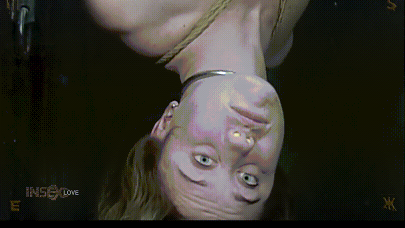 bf2ce42f283544df89885a5a79a9cceb_1740659211_6692.gif