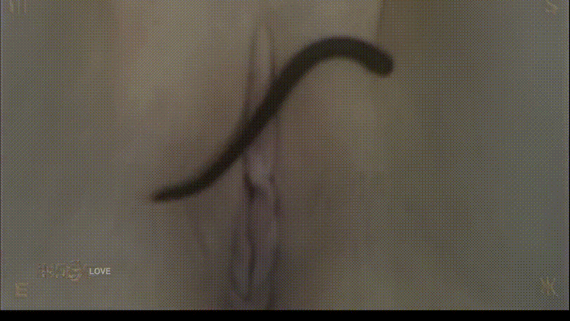 bf2ce42f283544df89885a5a79a9cceb_1740659219_5895.gif