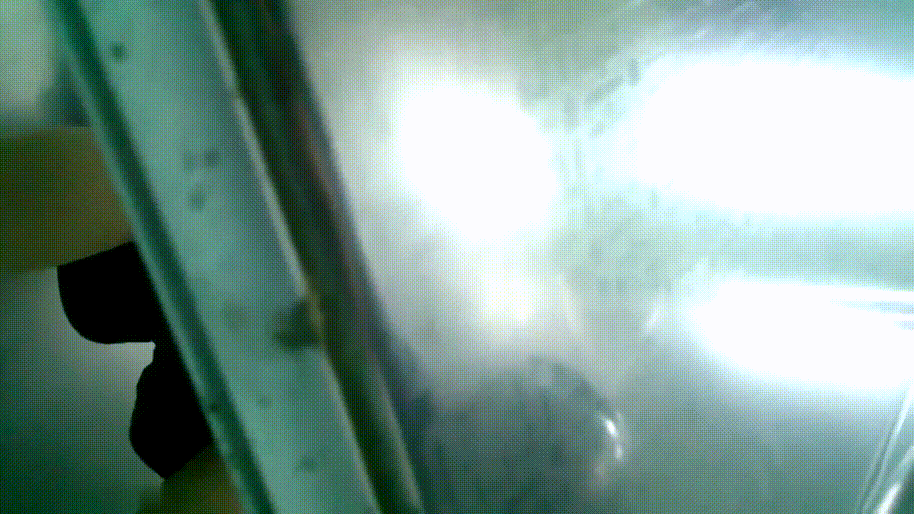 bf615723b19714636a33deaf7a505a5f_1740486561_7971.gif